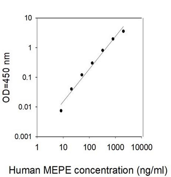 Human MEPE/OF45 ELISA Kit