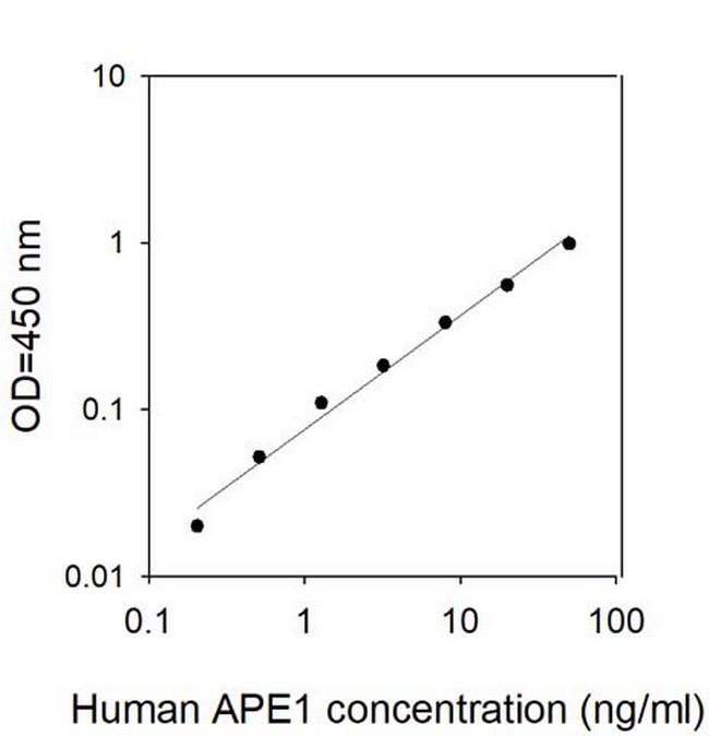 Human APE1/APEX1 ELISA Kit