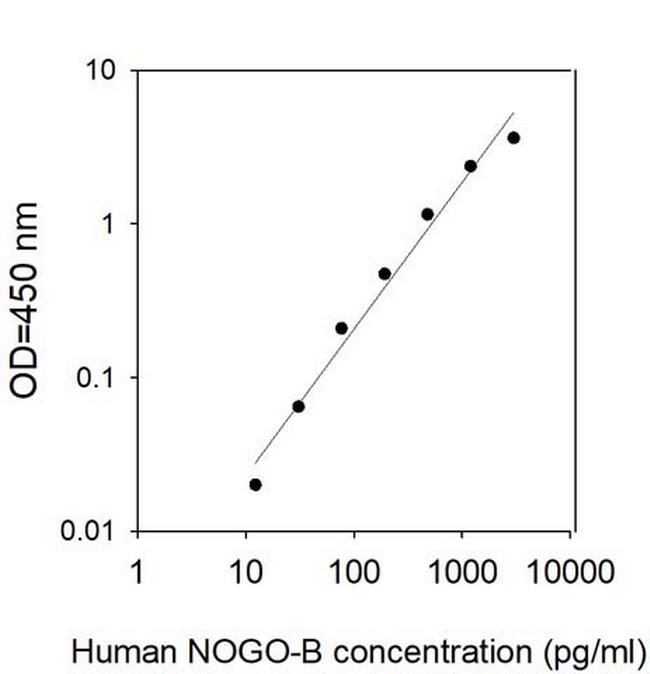 Human Nogo-B/RTN 4B ELISA Kit