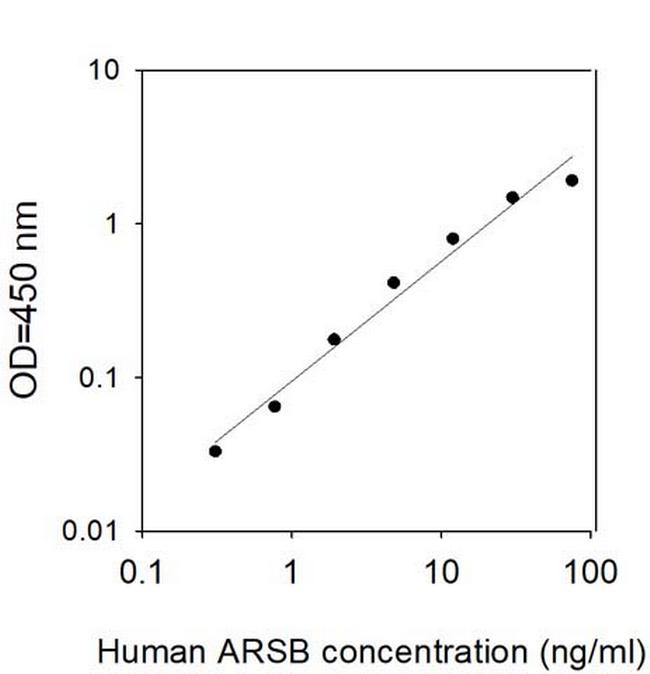 Human Arylsulfatase B/ARSB ELISA Kit