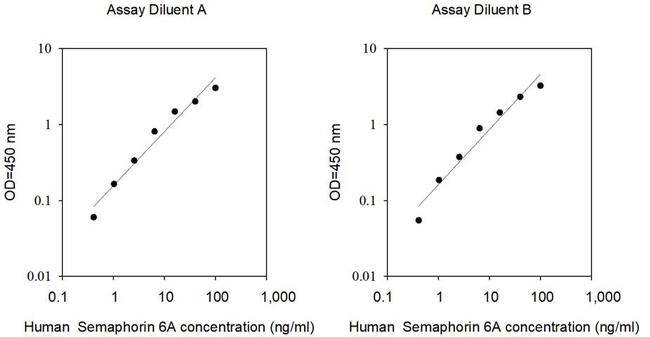 Human Semaphorin 6A ELISA Kit