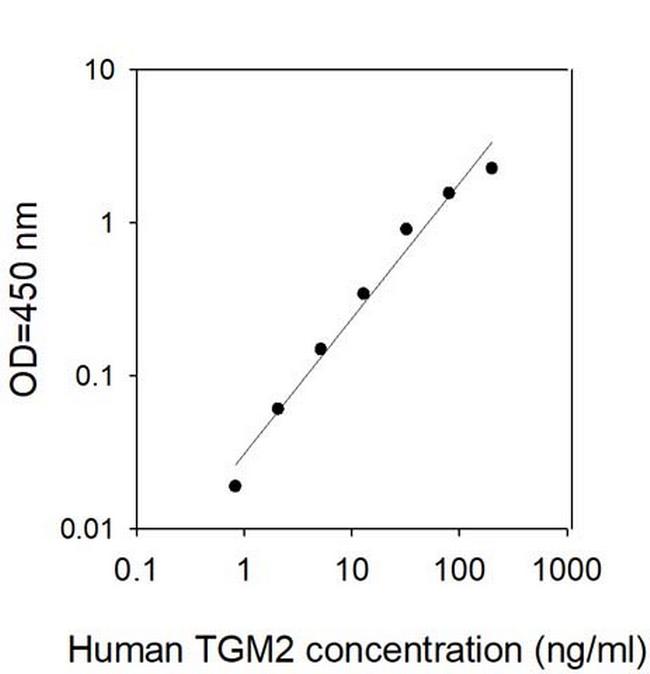 Human Transglutaminase 2/TGM2 ELISA Kit