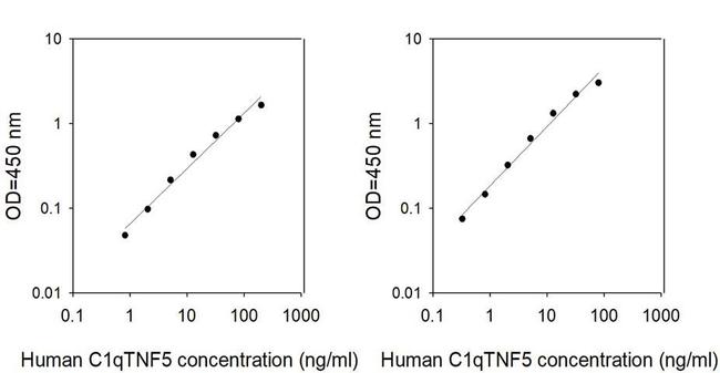 Human C1qTNF5 ELISA Kit