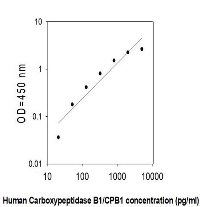 Human Carboxypeptidase B1/CPB1 ELISA Kit