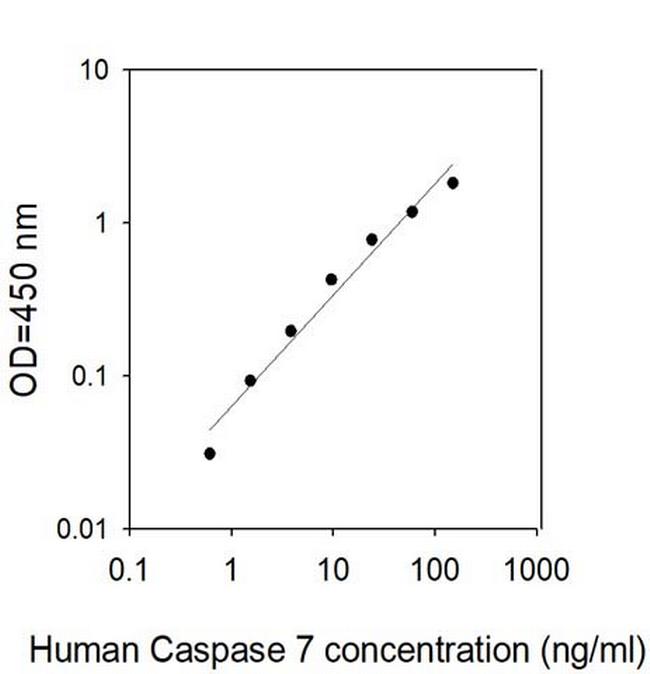 Human Caspase-7 ELISA Kit