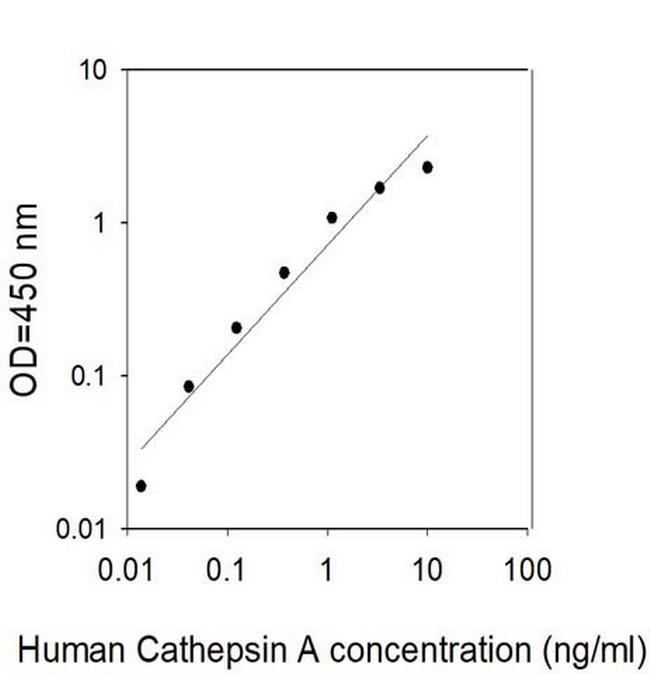 Human Cathepsin A/CTSA ELISA Kit