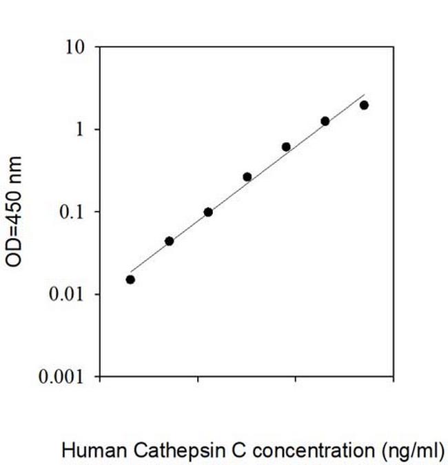 Human Cathepsin C ELISA Kit