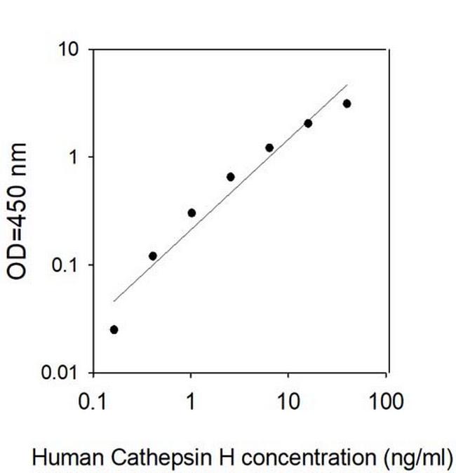 Human Cathepsin H ELISA Kit