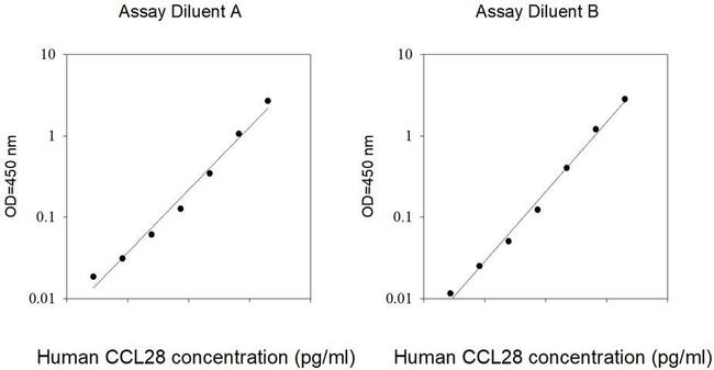 Human ENC1/CCL28 ELISA Kit