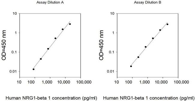 Human NRG1 beta-1 ELISA Kit