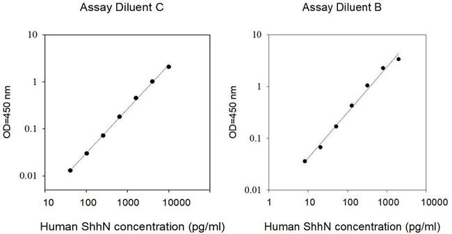 Human ShhN (SHH) ELISA Kit