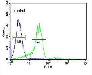 ENAM Antibody in Flow Cytometry (Flow)