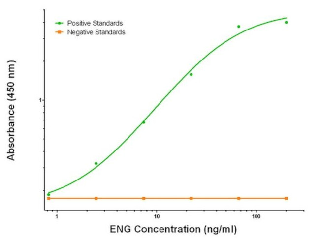 ENG Antibody in ELISA (ELISA)