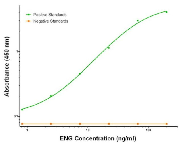 ENG Antibody in ELISA (ELISA)