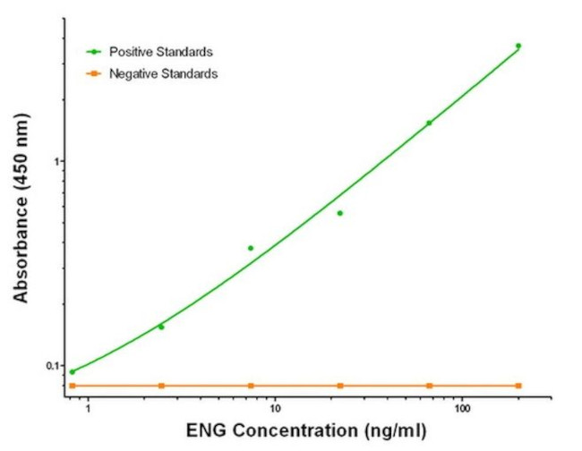 ENG Antibody in ELISA (ELISA)