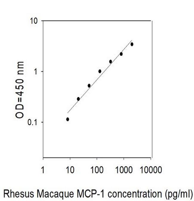 Human/Rhesus Monkey MCP-1/CCL2 ELISA Kit