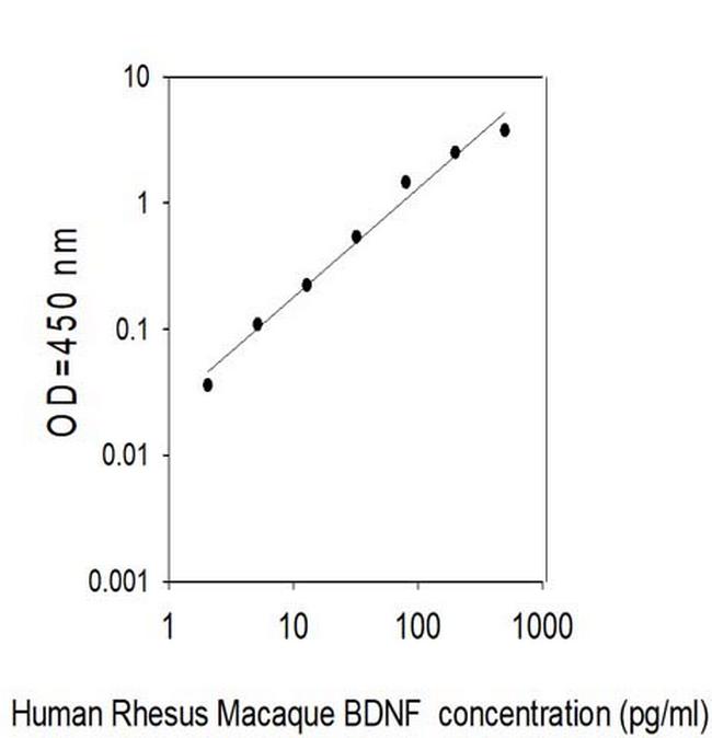 Rhesus Monkey BDNF ELISA Kit