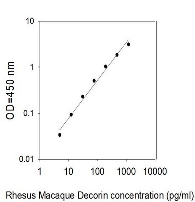 Rhesus Monkey Decorin ELISA Kit