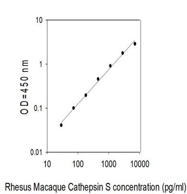 Rhesus Monkey Cathepsin S ELISA Kit
