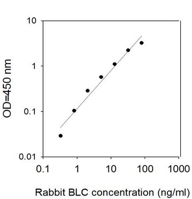 Rabbit BLC/CXCL13 ELISA Kit