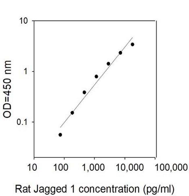 Rat Jagged 1 ELISA Kit