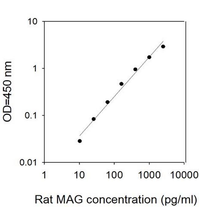 Rat MAG ELISA Kit