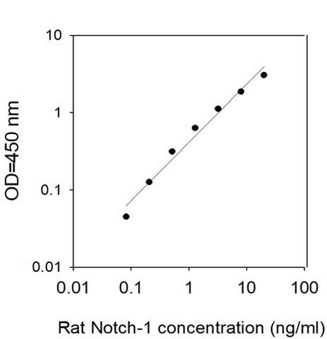 Rat Notch-1 ELISA Kit