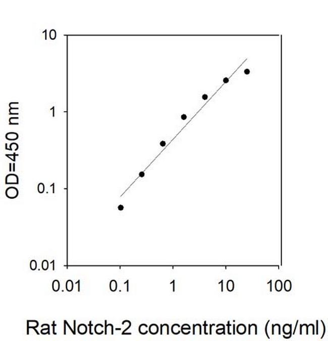 Rat Notch-2 ELISA Kit