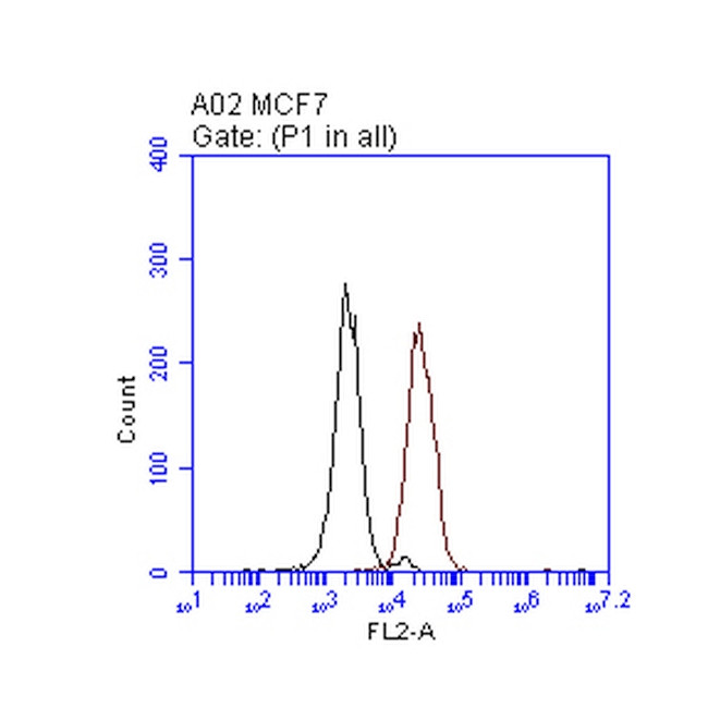 ERBB2 Antibody in Flow Cytometry (Flow)