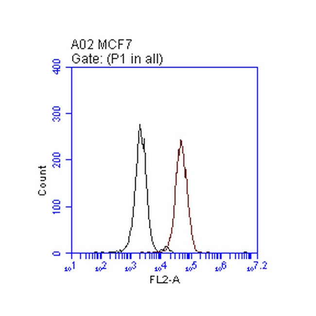 ERBB2 Antibody in Flow Cytometry (Flow)