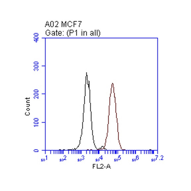 ERBB2 Antibody in Flow Cytometry (Flow)