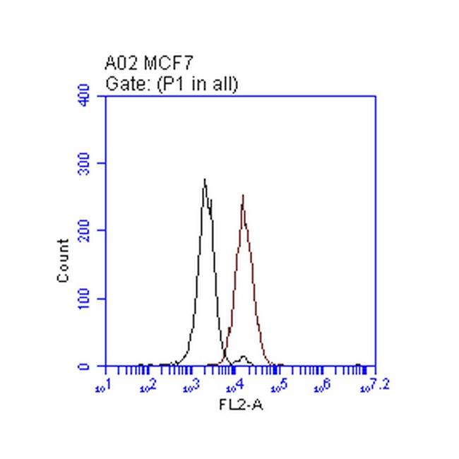 ERBB2 Antibody in Flow Cytometry (Flow)