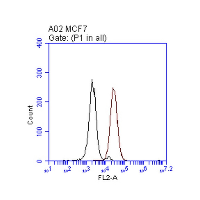 ERBB2 Antibody in Flow Cytometry (Flow)