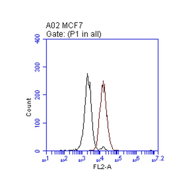 ERBB2 Antibody in Flow Cytometry (Flow)