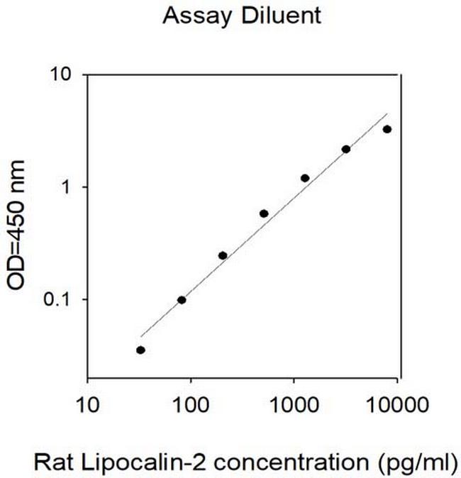 Rat Lipocalin-2 (LCN2/NGAL) ELISA Kit
