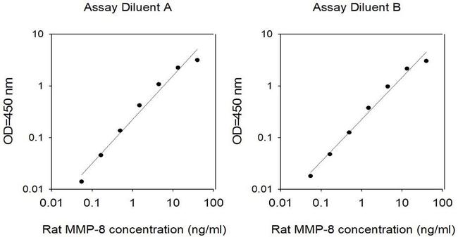 Rat MMP8 ELISA Kit