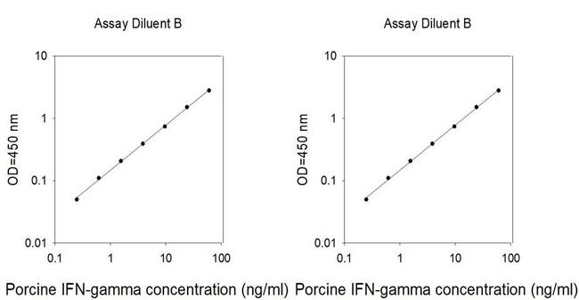 Porcine IFN-gamma ELISA Kit