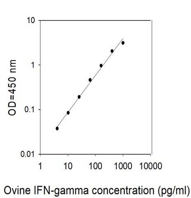 Ovine IFN-gamma ELISA Kit