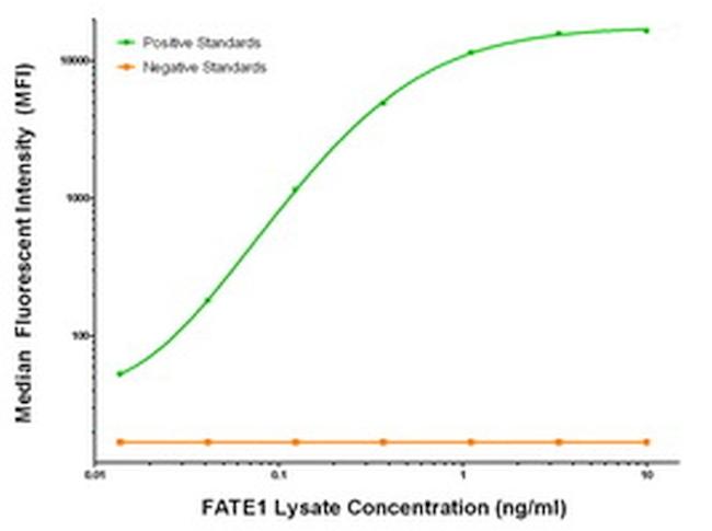 FATE1 Antibody in Luminex (Luminex)