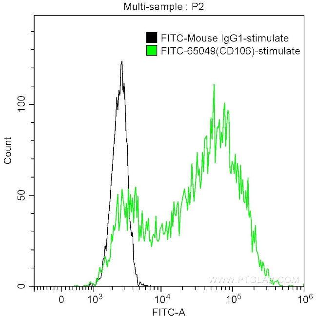 CD106 Antibody in Flow Cytometry (Flow)