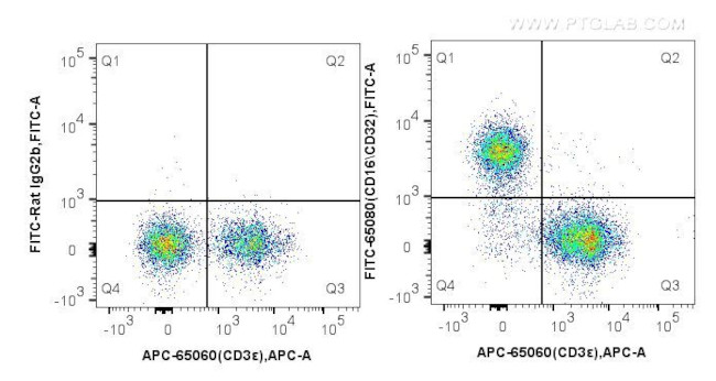 CD16/CD32 Antibody in Flow Cytometry (Flow)