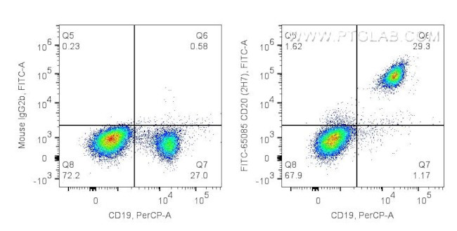 CD20 Antibody in Flow Cytometry (Flow)