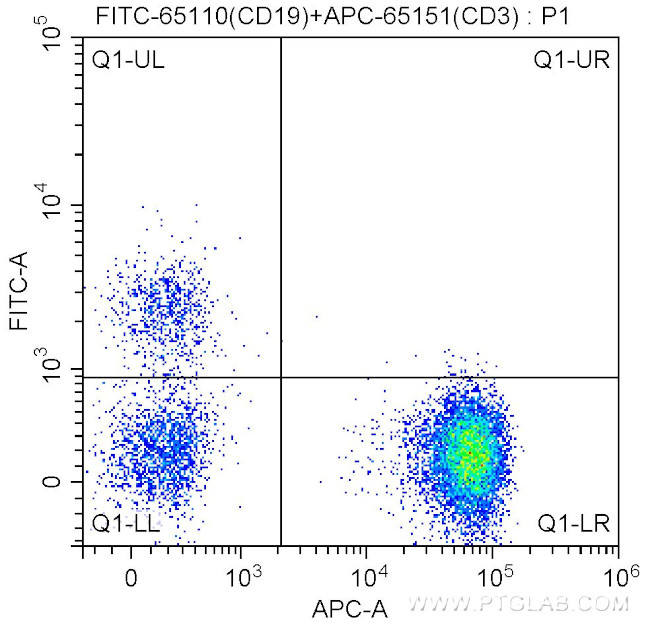 CD19 Antibody in Flow Cytometry (Flow)