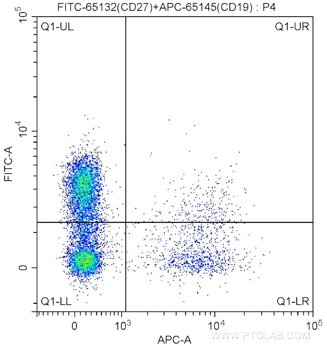 CD27 Antibody in Flow Cytometry (Flow)