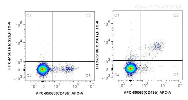 NK1.1 (CD161) Antibody in Flow Cytometry (Flow)