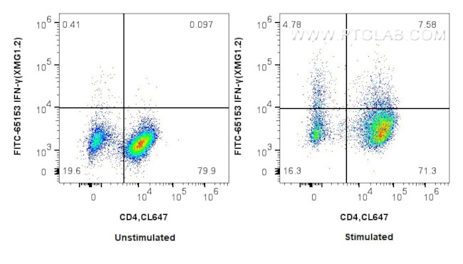 IFN gamma Antibody in Flow Cytometry (Flow)
