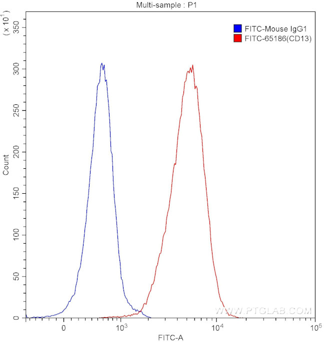CD13 Antibody in Flow Cytometry (Flow)