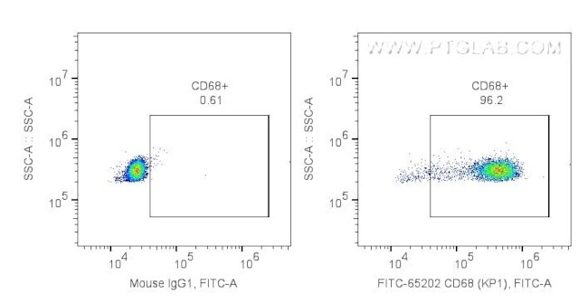 CD68 Antibody in Flow Cytometry (Flow)