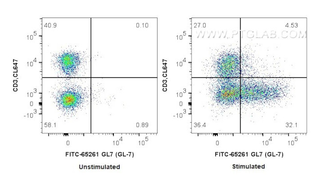 GL7 Antibody in Flow Cytometry (Flow)