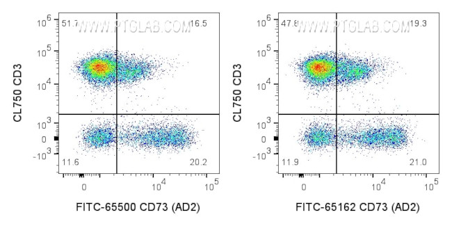 CD73 Antibody in Flow Cytometry (Flow)